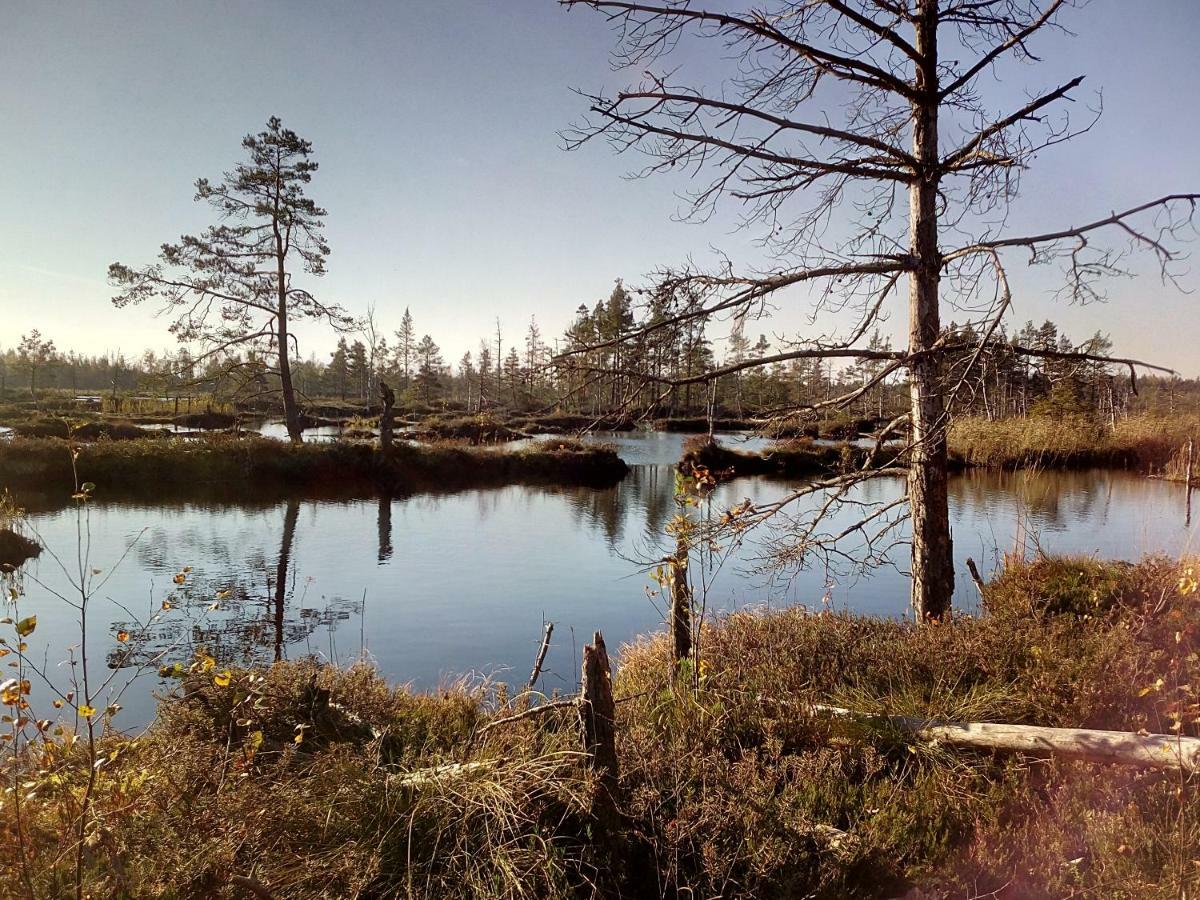 Kemeri Hotel In National Park - Free Parking Юрмала Экстерьер фото
